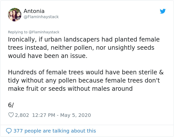 Scientist Discovers That "Tree Sexism" Might Be A Major Reason Behind Many Spring Allergies (Updated)