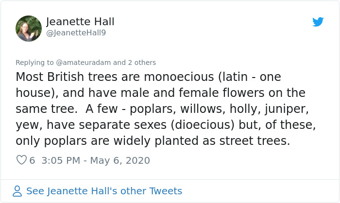 Scientist Discovers That "Tree Sexism" Might Be A Major Reason Behind Many Spring Allergies (Updated)