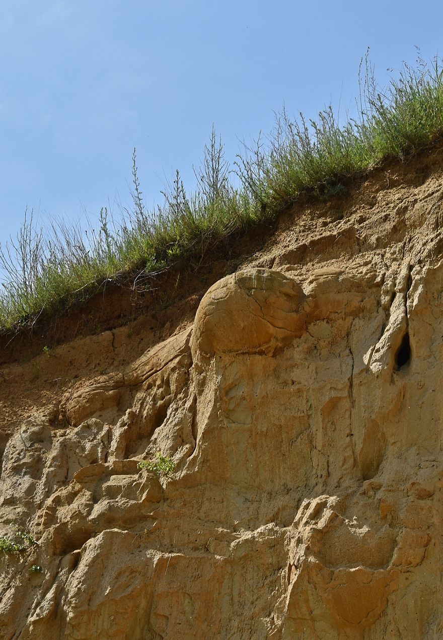 Concretion, Dinosaur Eggs Or Extraterrestrial Debris? Concretion, Dinosaur Eggs Or Extraterrestrial Debris?