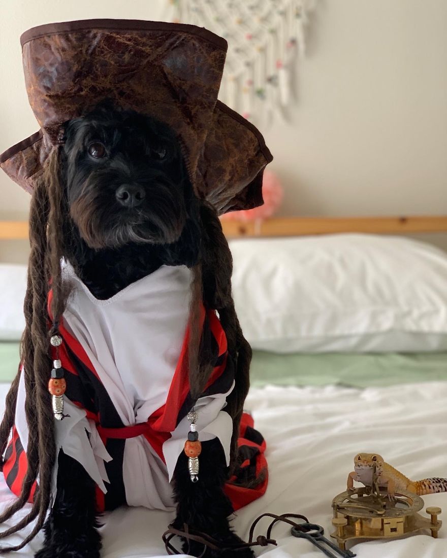 Unlikely Friends Become Costume Buddies! Unlikely Friends Become Costume Buddies!