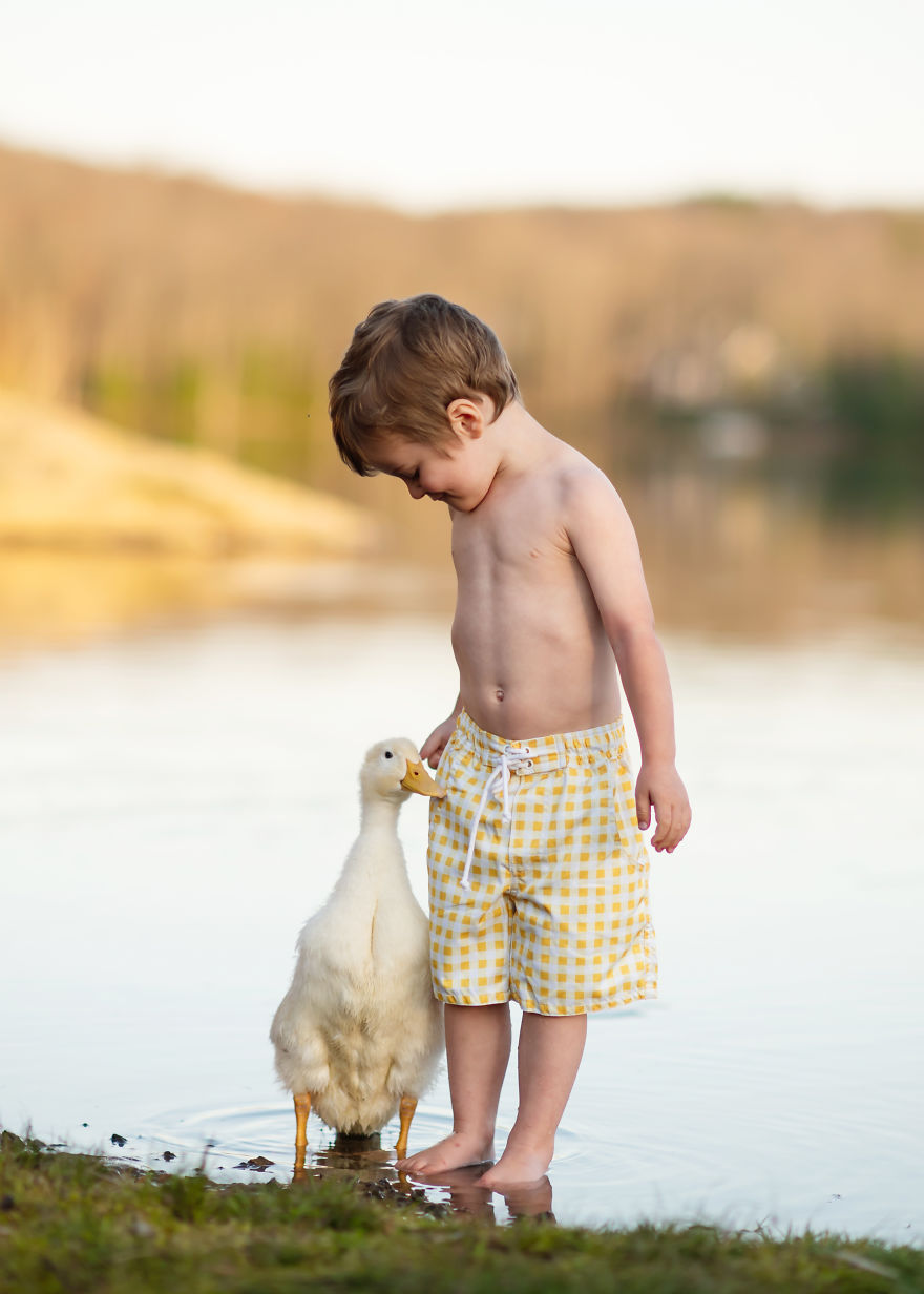 I Capture Children With Animals And Create Magical Moments.