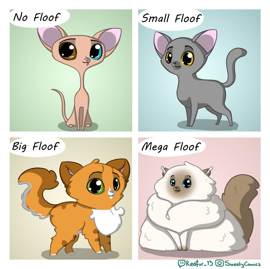 Floofiness Scale