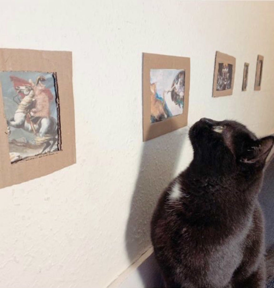 Cat Gets Injured And Can't Leave Home So His Owner Makes Him Art Gallery To Cheer Him Up