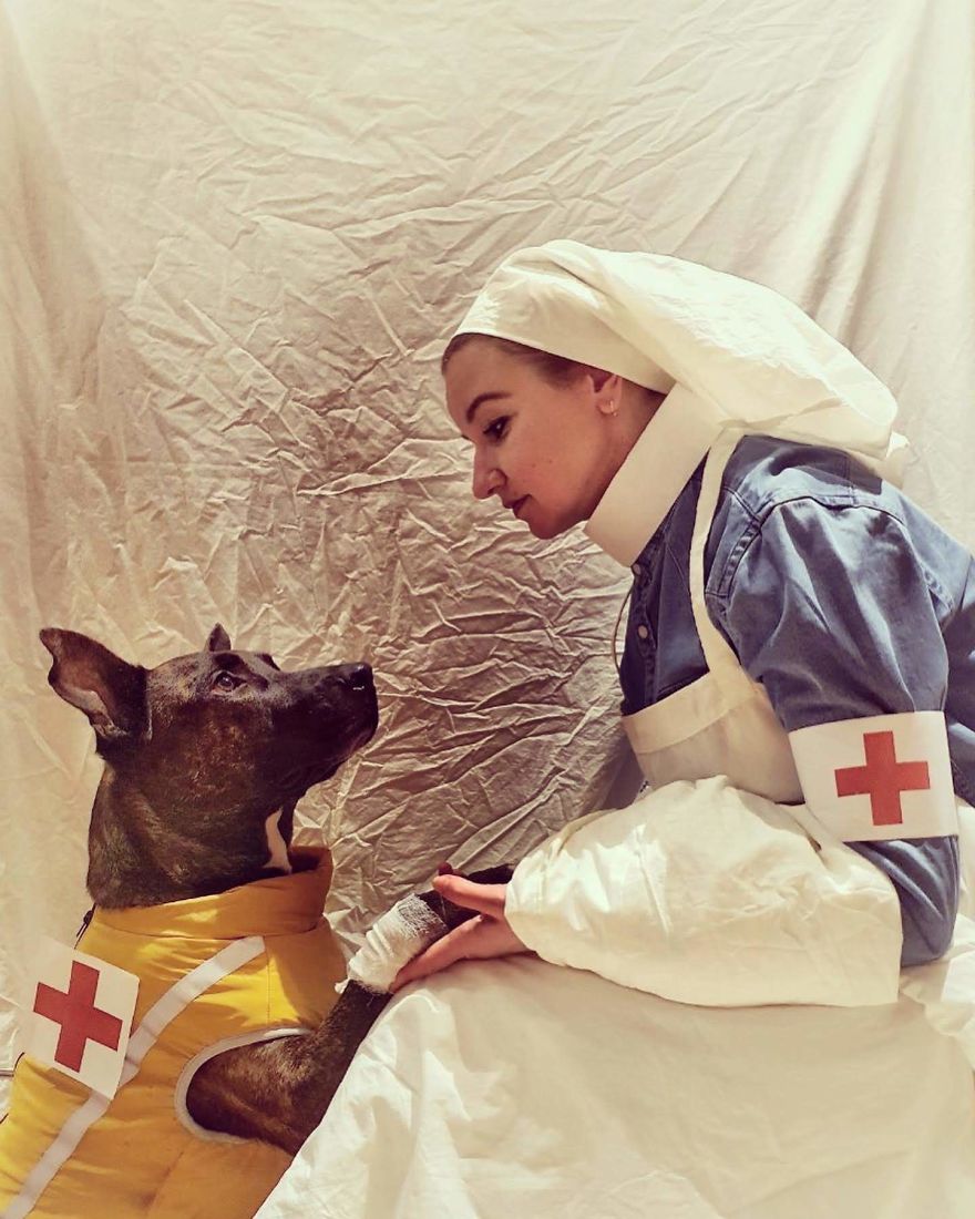 Veterinarian Veterinarian