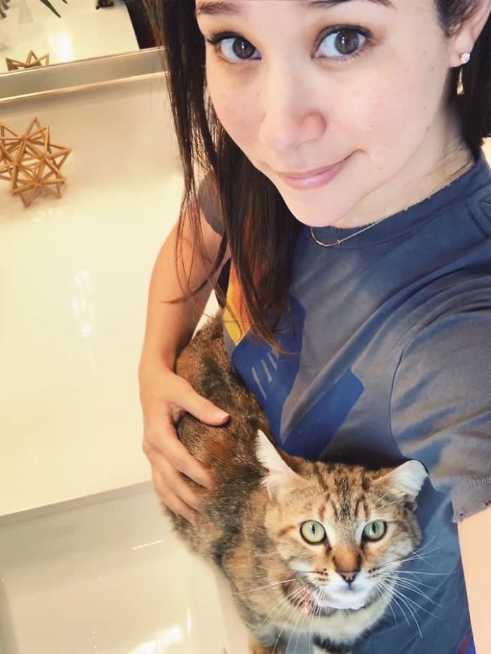 Esta mujer documentó de forma divertida sus intentos de cuidar a un gato que no paraba de visitarla