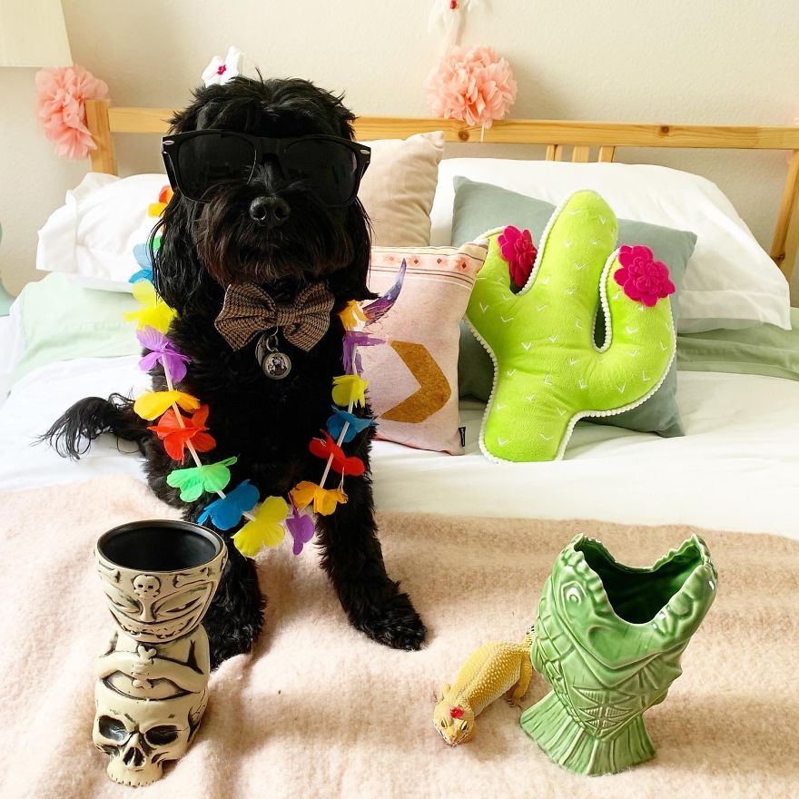 Unlikely Friends Become Costume Buddies! Unlikely Friends Become Costume Buddies!