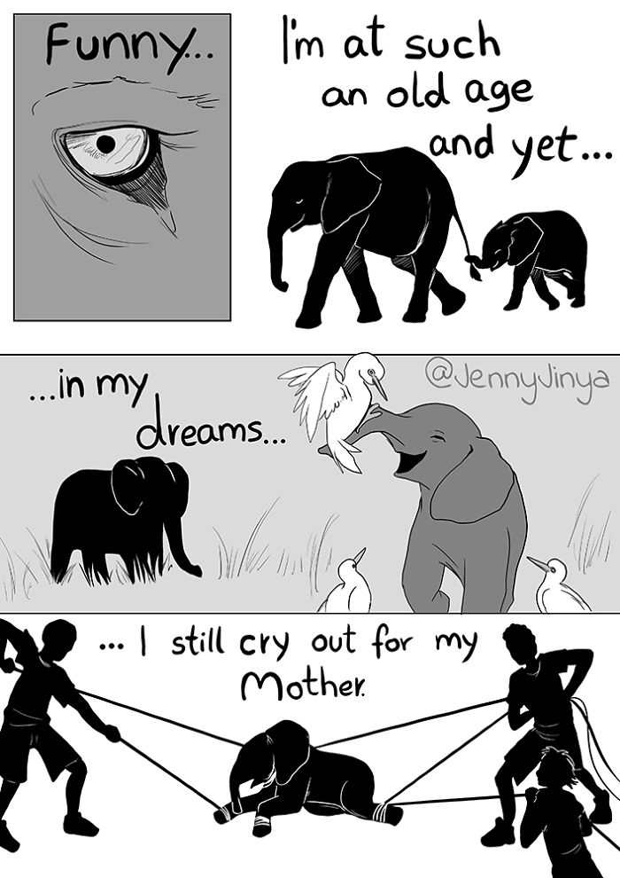 Artist Who Made People Cry With Her ‘Good Boy’ And ‘Black Cat’ Comics Is Back, And This Time It’s About Elephants