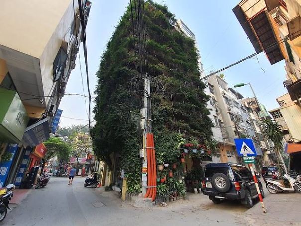 A Five-Storey House Into A Vertical Garden In Hanoi, Vietnam A Five-Storey House Into A Vertical Garden In Hanoi, Vietnam