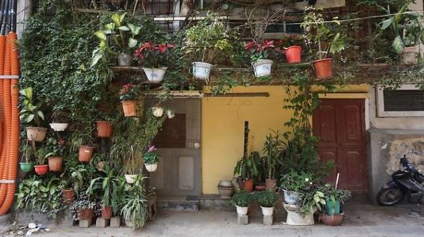 A Five-Storey House Into A Vertical Garden In Hanoi, Vietnam A Five-Storey House Into A Vertical Garden In Hanoi, Vietnam