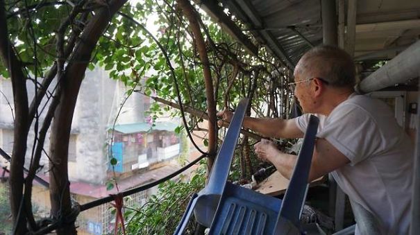 A Five-Storey House Into A Vertical Garden In Hanoi, Vietnam A Five-Storey House Into A Vertical Garden In Hanoi, Vietnam