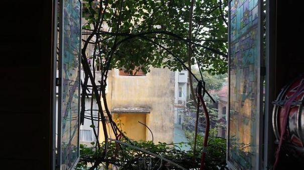 A Five-Storey House Into A Vertical Garden In Hanoi, Vietnam A Five-Storey House Into A Vertical Garden In Hanoi, Vietnam