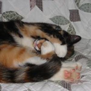 mimix5lotusjade avatar