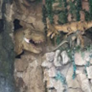 adventuresofcrittergirl avatar