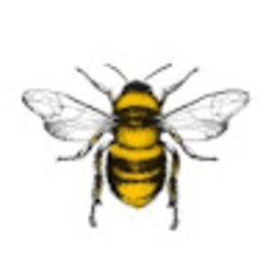 jeremyresnick avatar