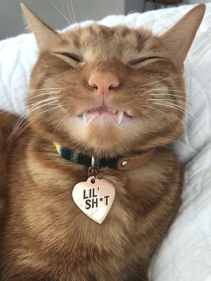 Not Sure If I Love His Teefies Or Freckle More
