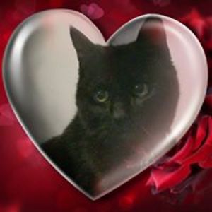 robyn_concannon avatar