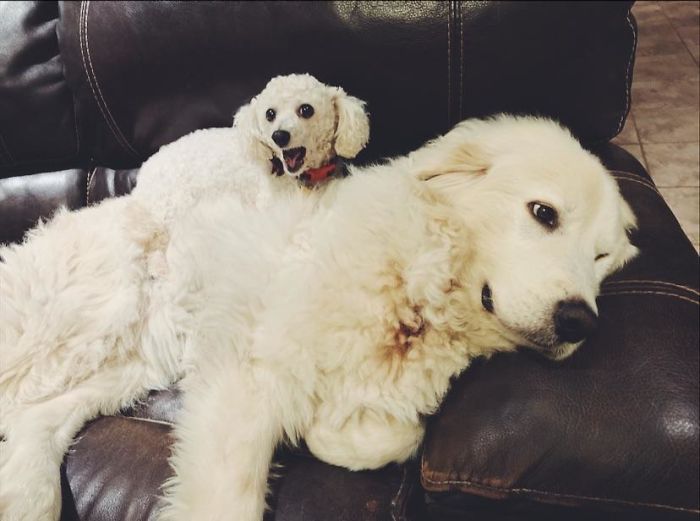 The Moment Daisy Regretted Wanting A Sibling