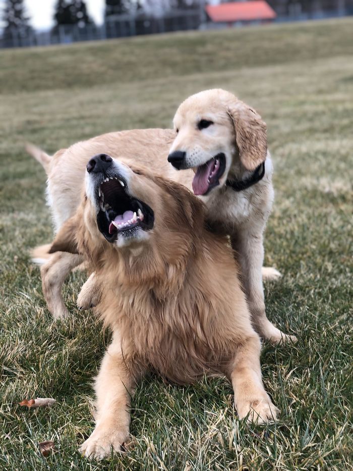 When You Annoy Your Big Bro