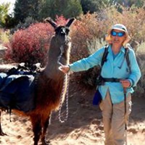 jeanine_mcelwain avatar