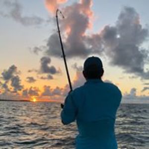 cashionarchie avatar