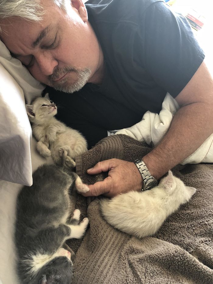 A Man And His Kittens