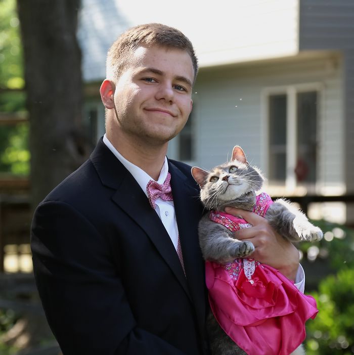 My Brother Took Our Cat To Prom. Just Take A Look At How The Cat Stares At Him