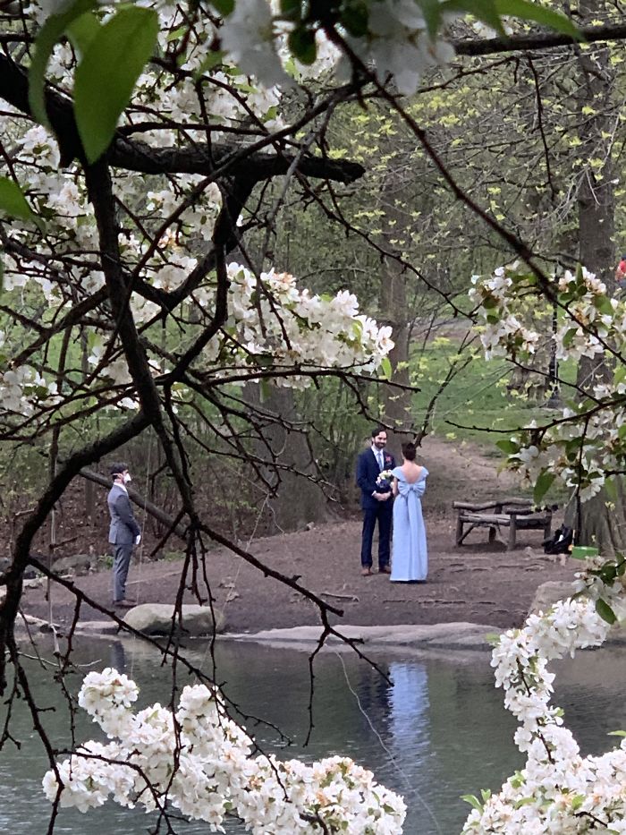 Came Across This Wedding Today In Central Park