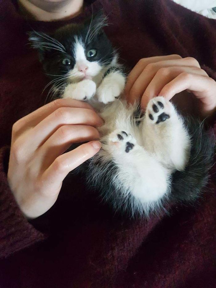 Little Baby I'm Adopting! She Has One Pink Bean Per Foot