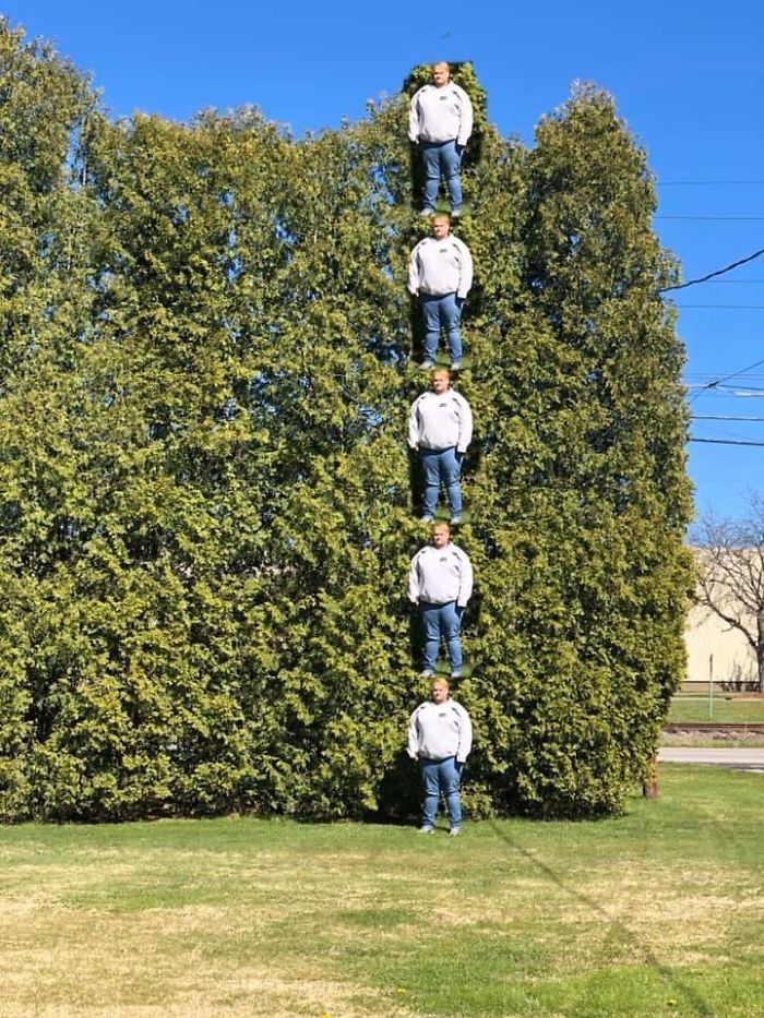 My Brother Wanted To Measure The Trees In His Yard. This Is How Did He Did It