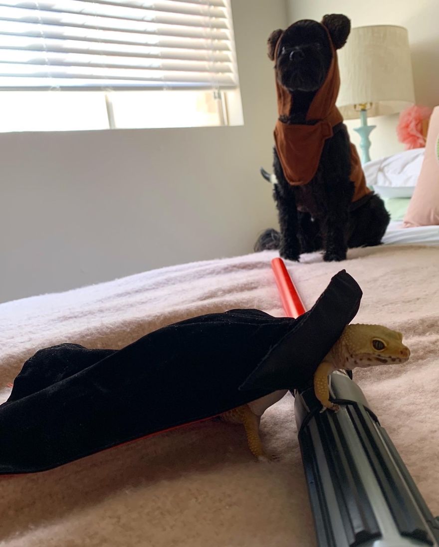 Unlikely Friends Become Costume Buddies! Unlikely Friends Become Costume Buddies!