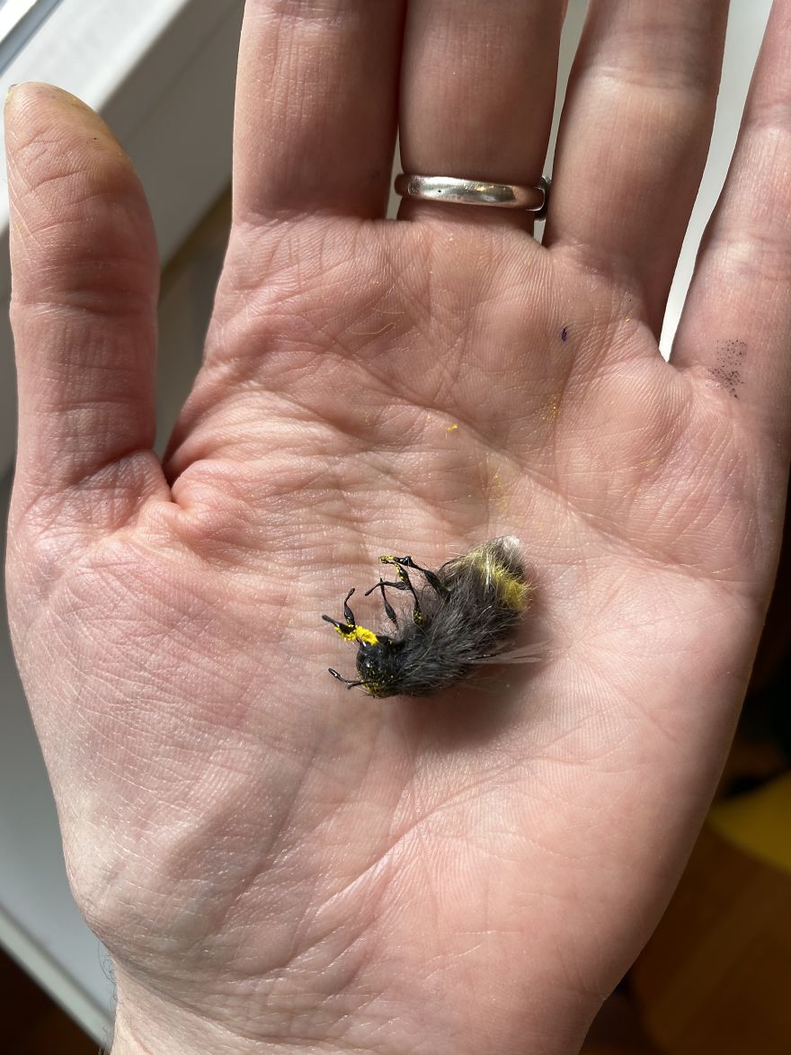 Creations Inspired By Nature