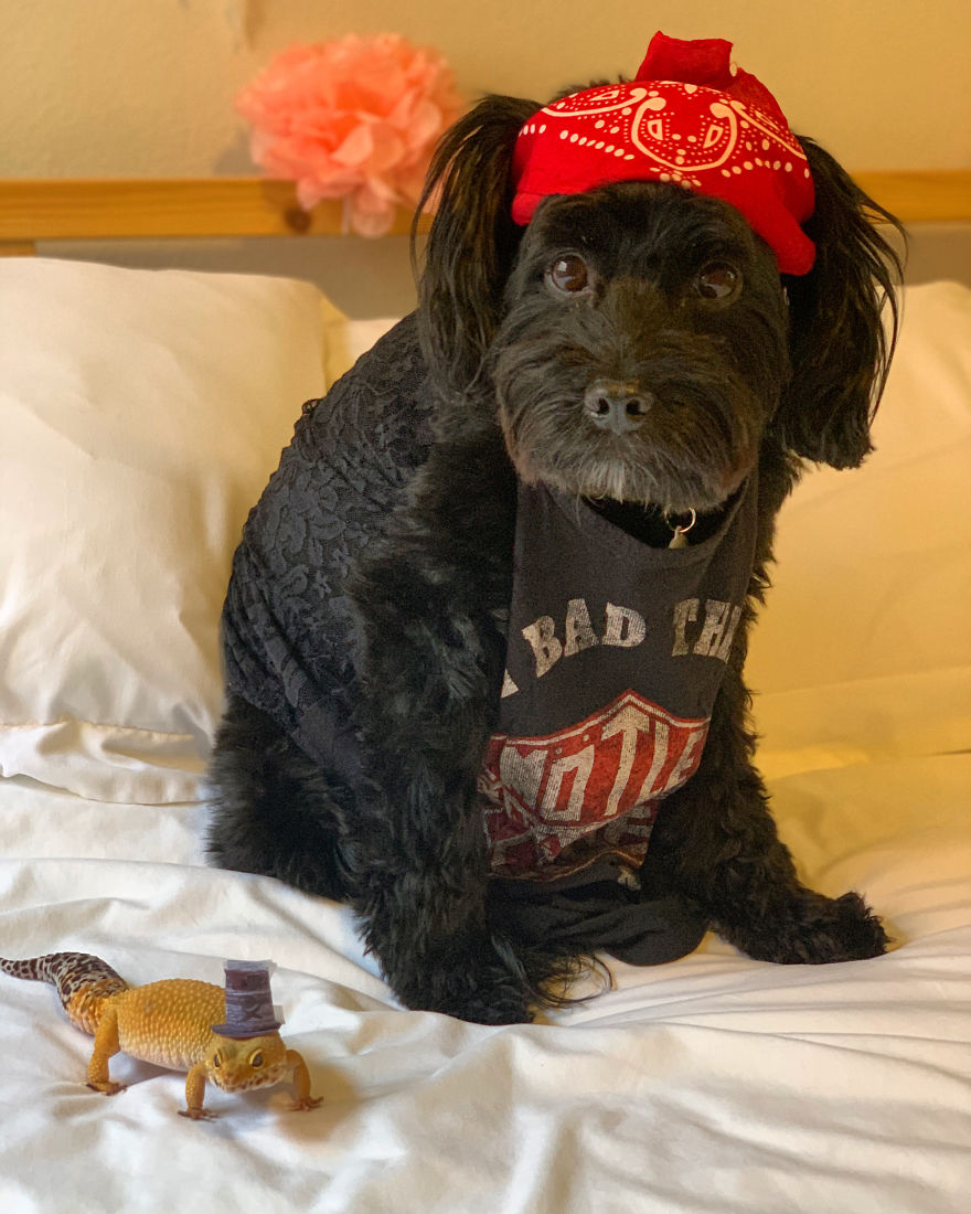 Unlikely Friends Become Costume Buddies! Unlikely Friends Become Costume Buddies!