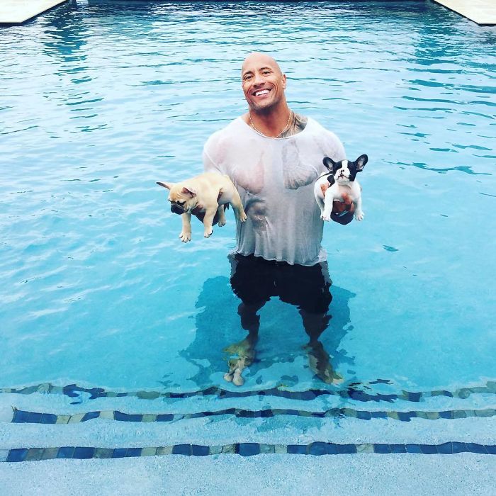 The Time He Added Two New Members To His Family: Baby French Bulldogs Brutus And Hobbs