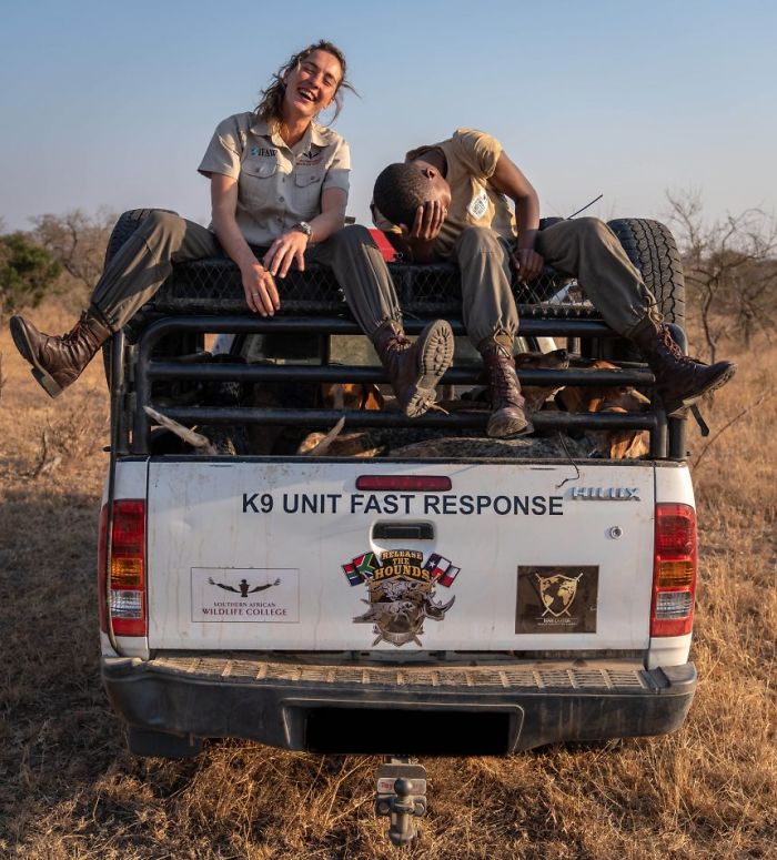 Dogs Trained To Protect Wildlife Save 45 Rhinos From Poachers