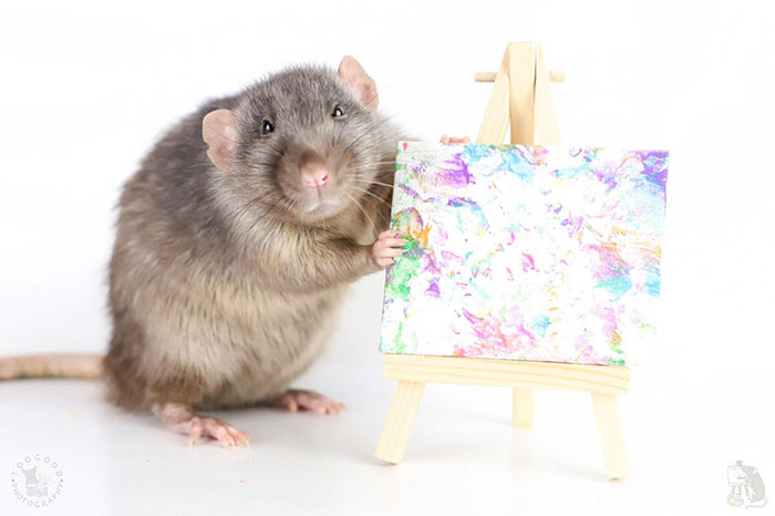 Rat Art Work