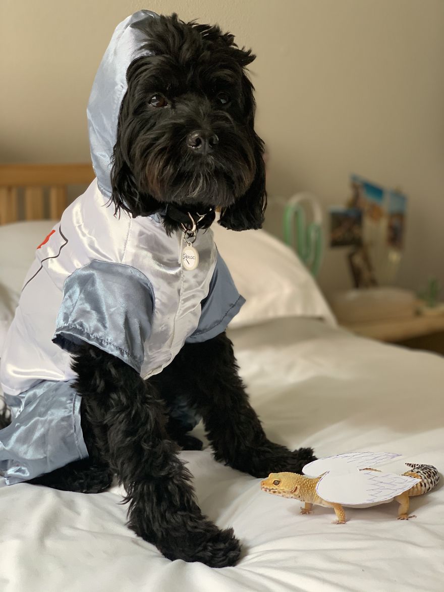 Unlikely Friends Become Costume Buddies! Unlikely Friends Become Costume Buddies!
