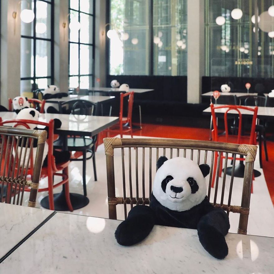 Restaurant Finds A Genius Way To Help Their Customers Feel Less Lonely While Social Distancing Using Pandas (10 Pics)