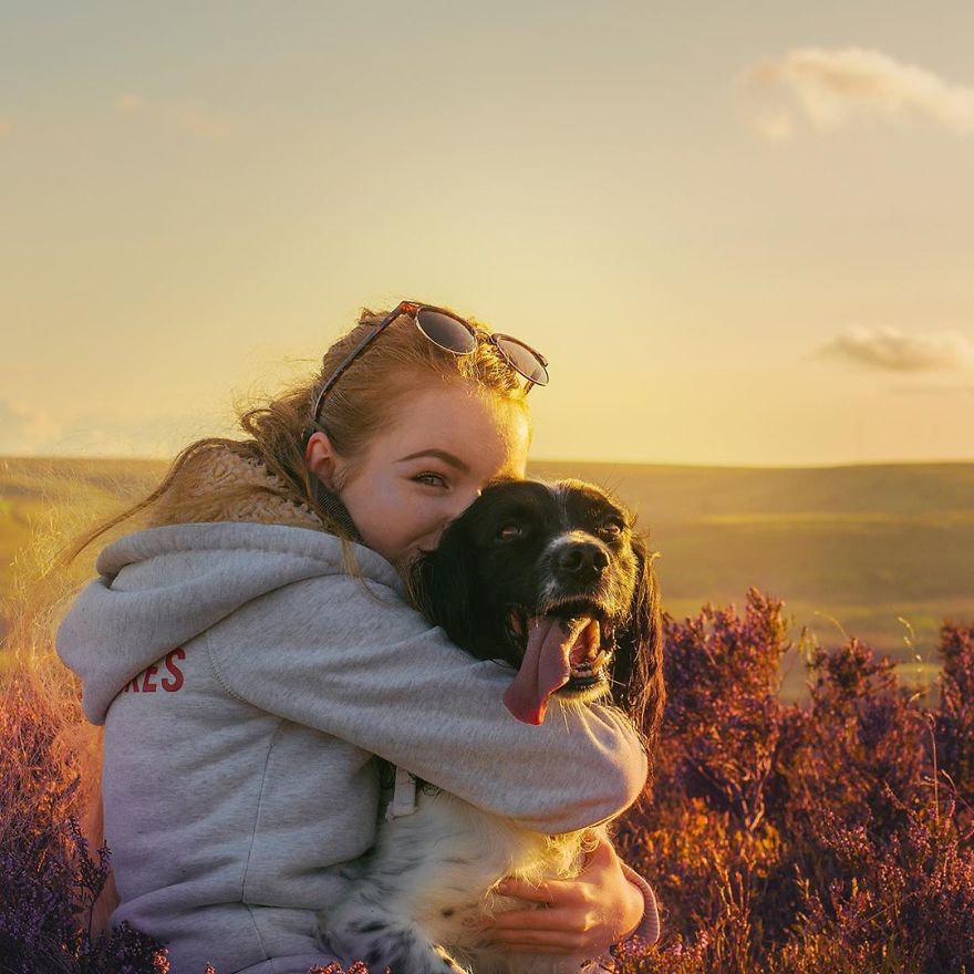 A Girl With A Disability Has The Most Adorable Helper - A Springer Spaniel Named Ted (17 Pics)