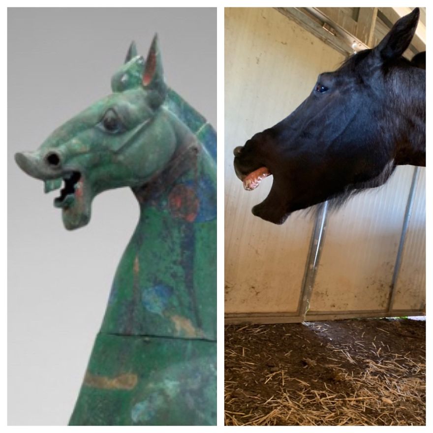 Museum Art