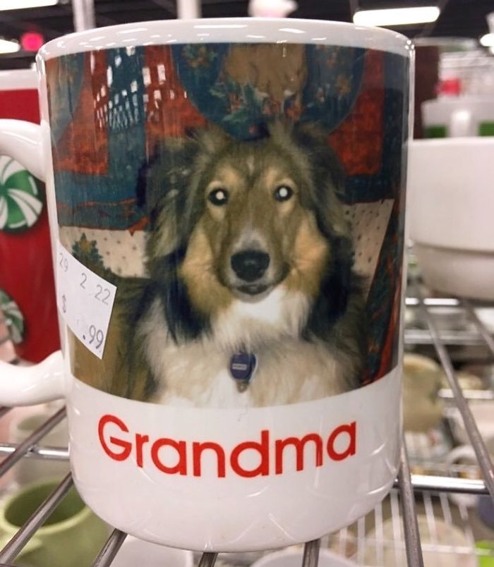 Grandma Lassie
