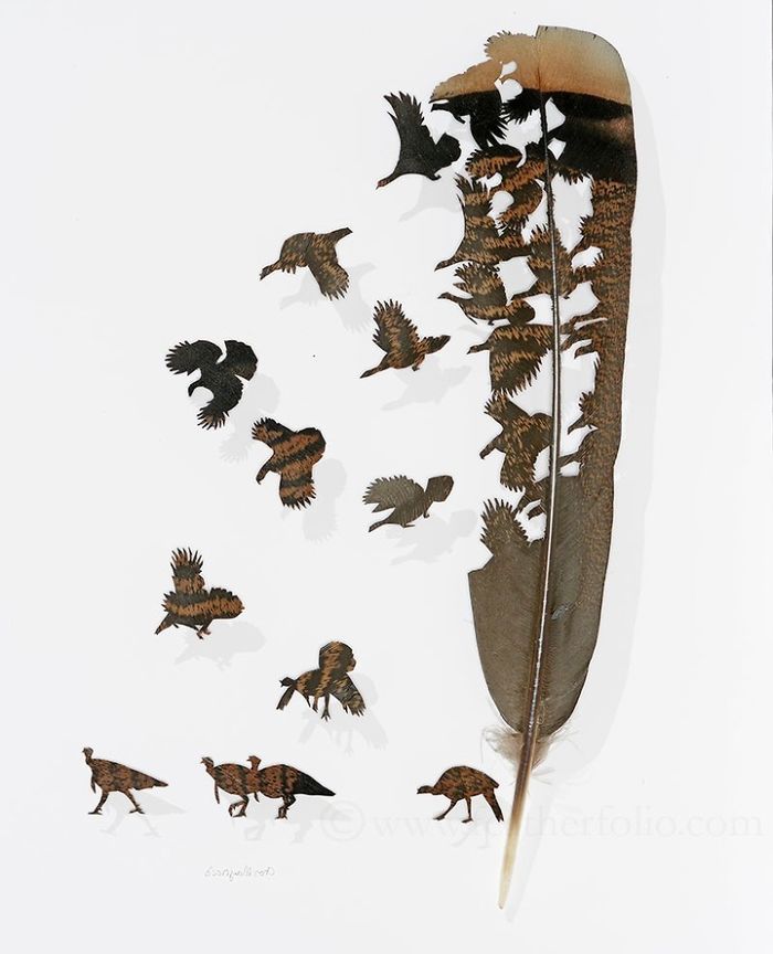 Chris Maynard At Featherfolio Returns With More Feather Carvings