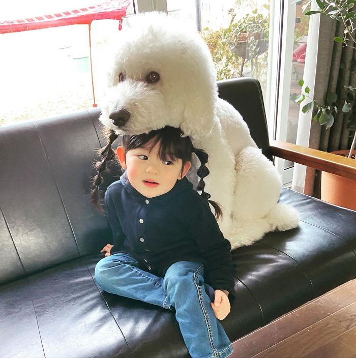 Child-Poodle-Dog-Friendship-Tamanegi-Qoo-Riku