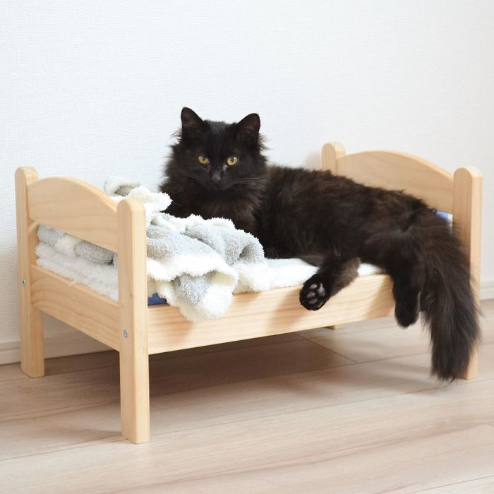 IKEA Sells Mini Beds For Children's Toys, People Buy Them For Their Cats (30 Pics)