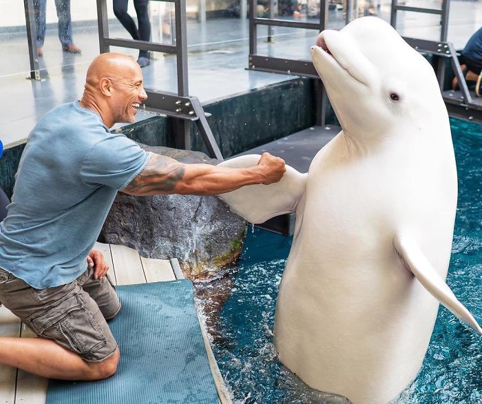 The Time He Became Friends With A Beluga Whale