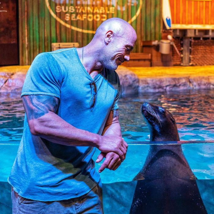 The Time He Had A Friendly Chat With A Seal