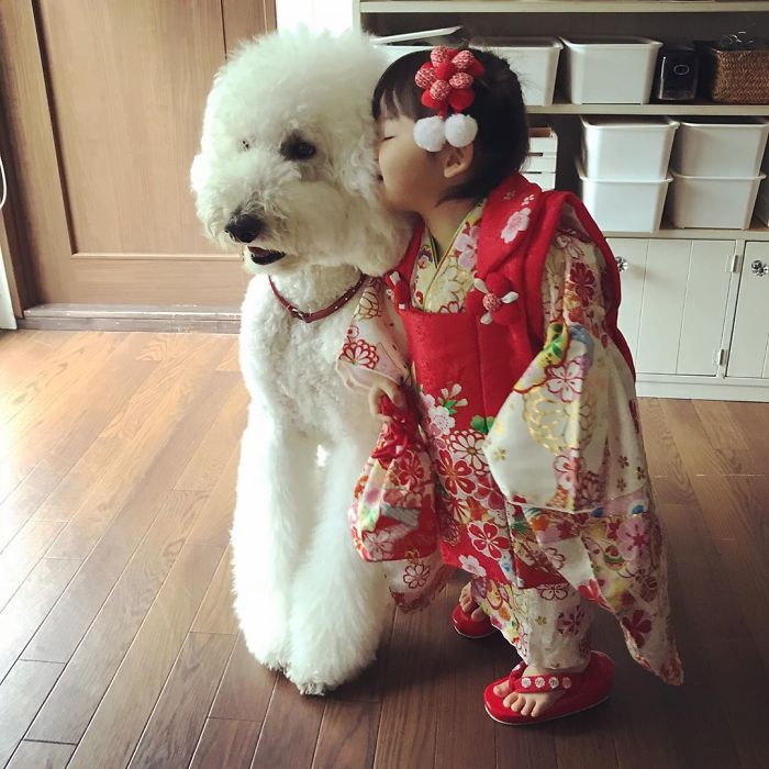 Child-Poodle-Dog-Friendship-Tamanegi-Qoo-Riku