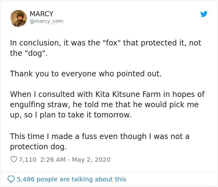 Japanese Man Goes To Social Media To Search For The Owners Of The "Puppy" He Found, Finds Out It's Not A Puppy After All