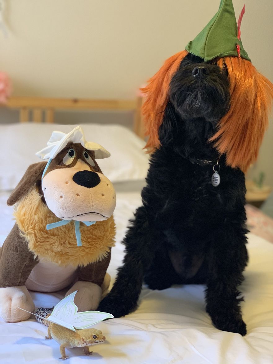 Unlikely Friends Become Costume Buddies! Unlikely Friends Become Costume Buddies!