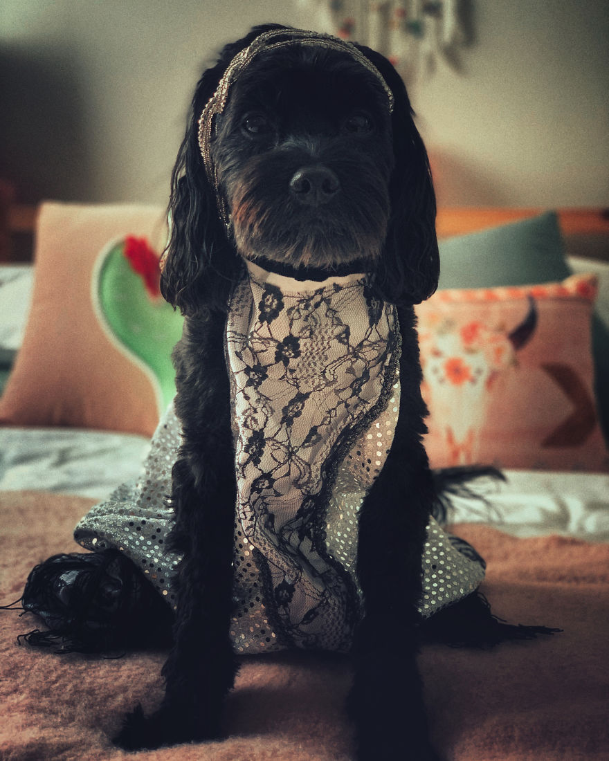 Unlikely Friends Become Costume Buddies! Unlikely Friends Become Costume Buddies!