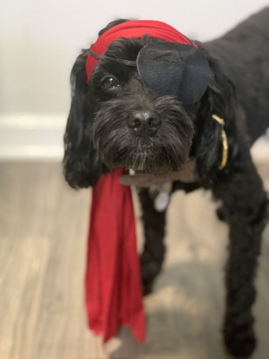 Unlikely Friends Become Costume Buddies! Unlikely Friends Become Costume Buddies!